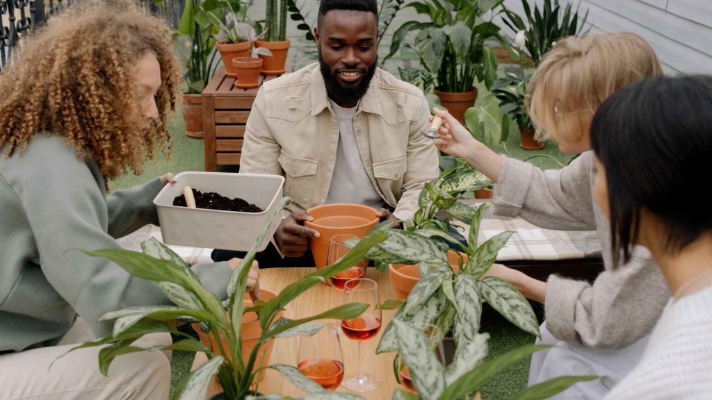plant breeding for stress environments