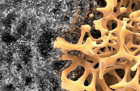 Tissue Regeneration For Dogs2
